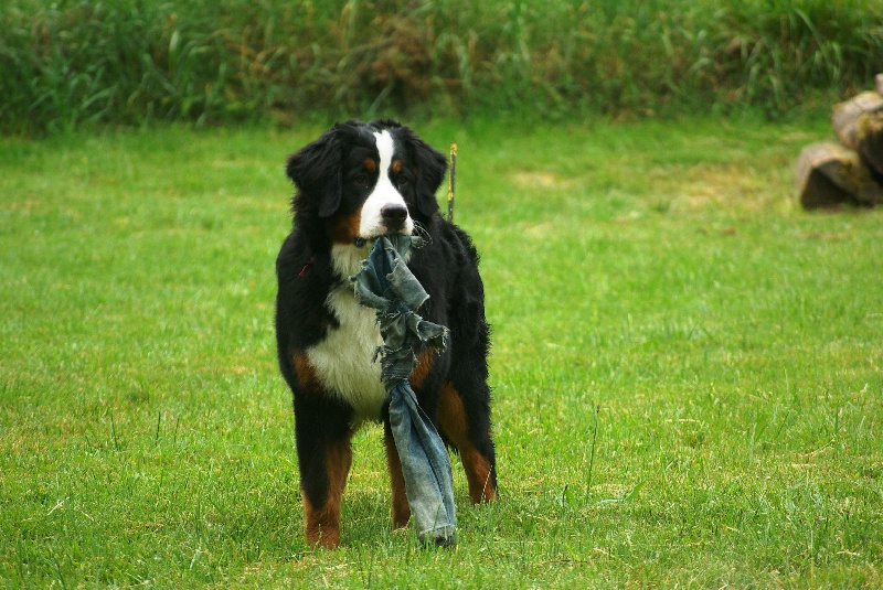 Fifty-fifty funatic du hameau des baronnies
