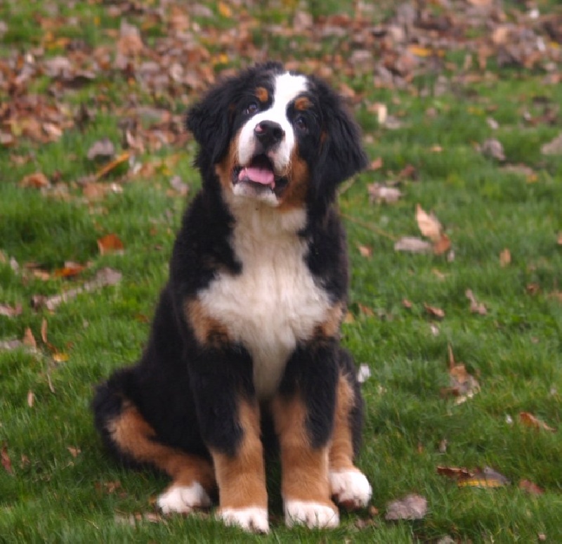 Fifty-fifty funatic du hameau des baronnies