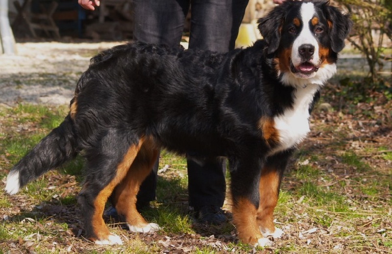 Fifty-fifty funatic du hameau des baronnies