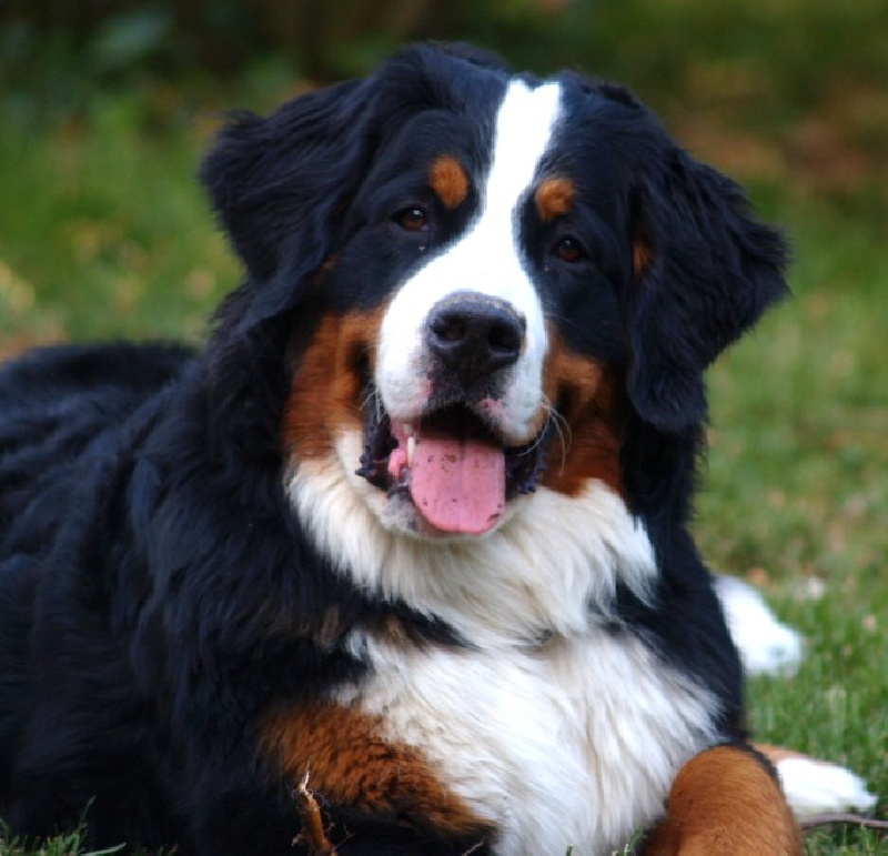 Fifty-fifty funatic du hameau des baronnies