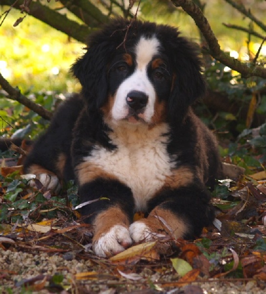 Fifty-fifty funatic du hameau des baronnies