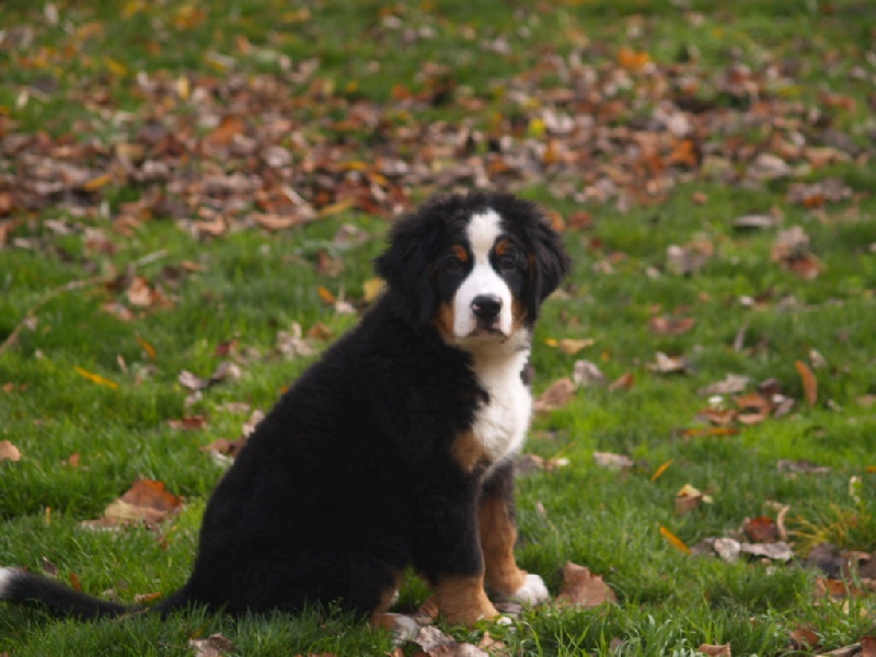 Fifty-fifty funatic du hameau des baronnies