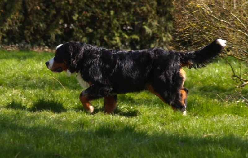 Fifty-fifty funatic du hameau des baronnies