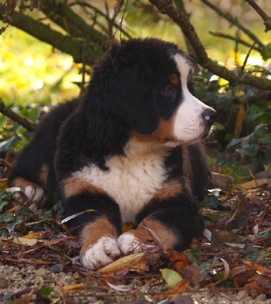 Fifty-fifty funatic du hameau des baronnies