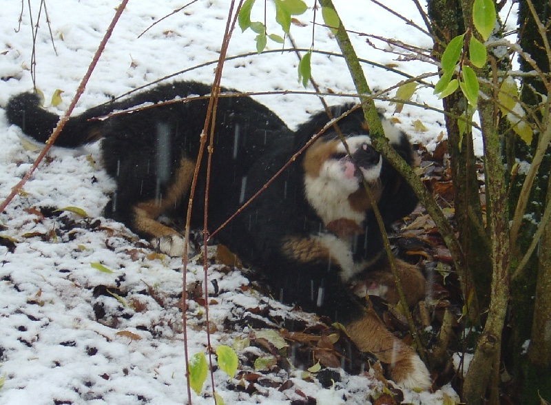 Fifty-fifty funatic du hameau des baronnies