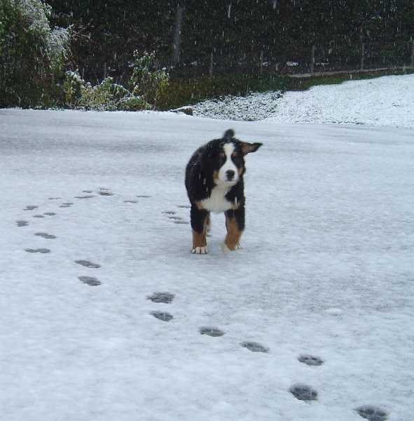 Fifty-fifty funatic du hameau des baronnies