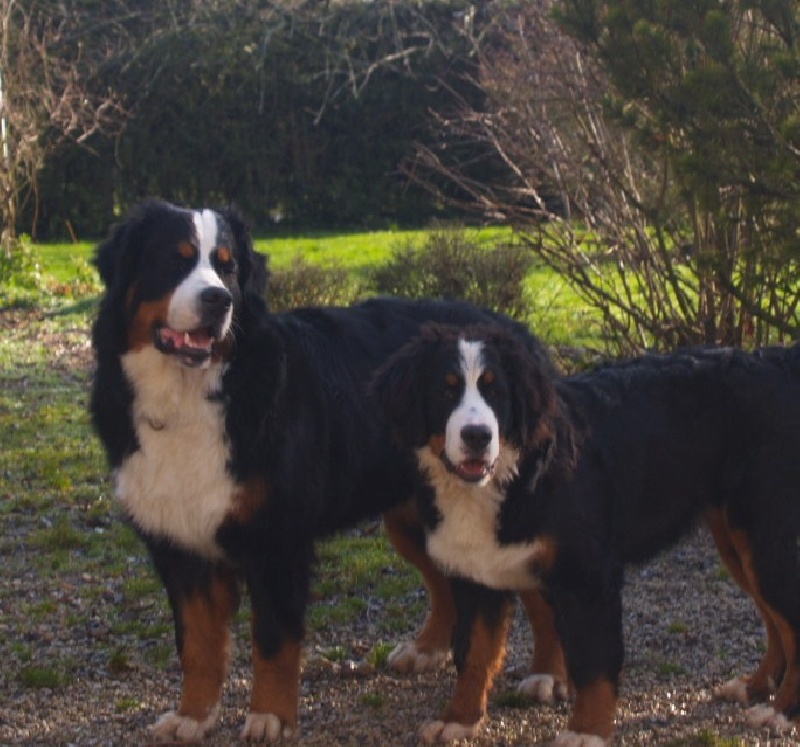 Fifty-fifty funatic du hameau des baronnies