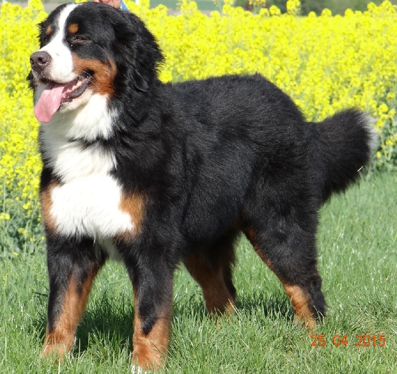 blackwater Easy come easy go - Exc