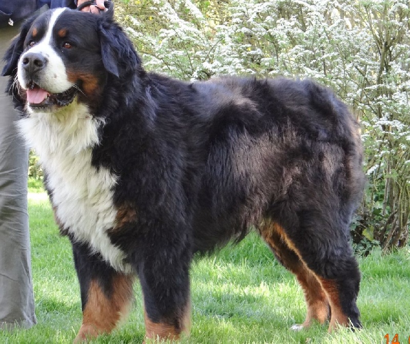 Helios du hameau des baronnies - Exc classe ouverte