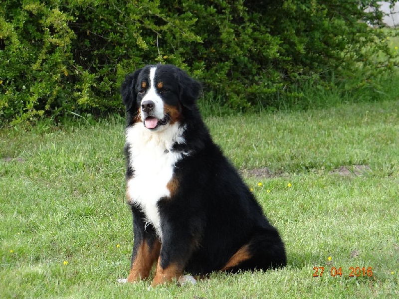 blackwater Easy come easy go - 5eme exc COF