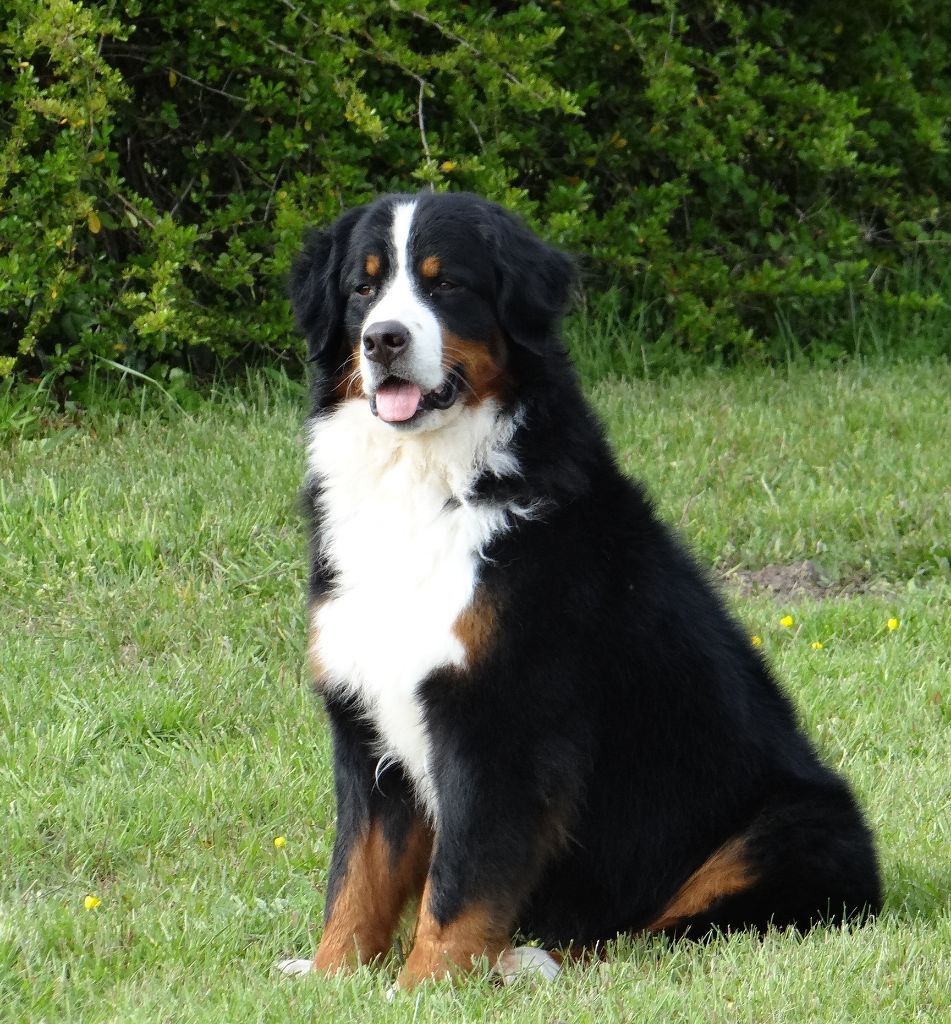 blackwater Easy come easy go - exc classe ouverte