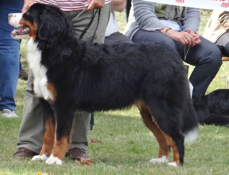 blackwater Easy come easy go - Exc classe jeune