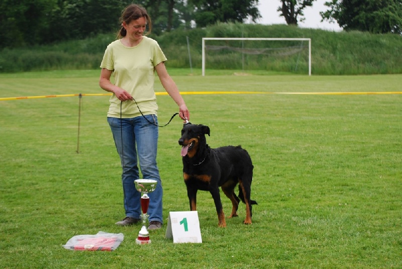 Fatale de La Cité des Comtes