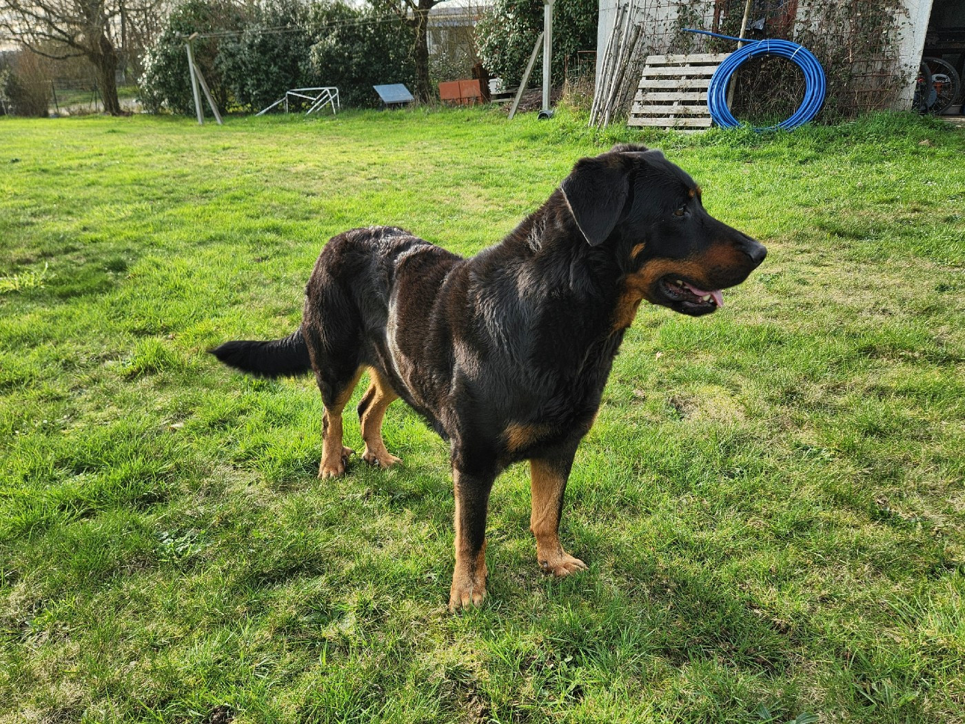 Publication : de La Cité des Comtes