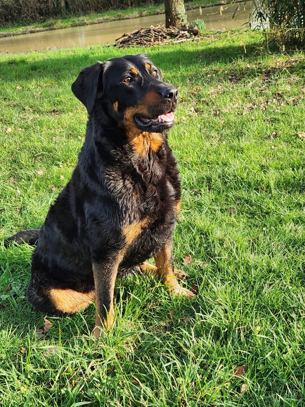 Publication : de La Cité des Comtes