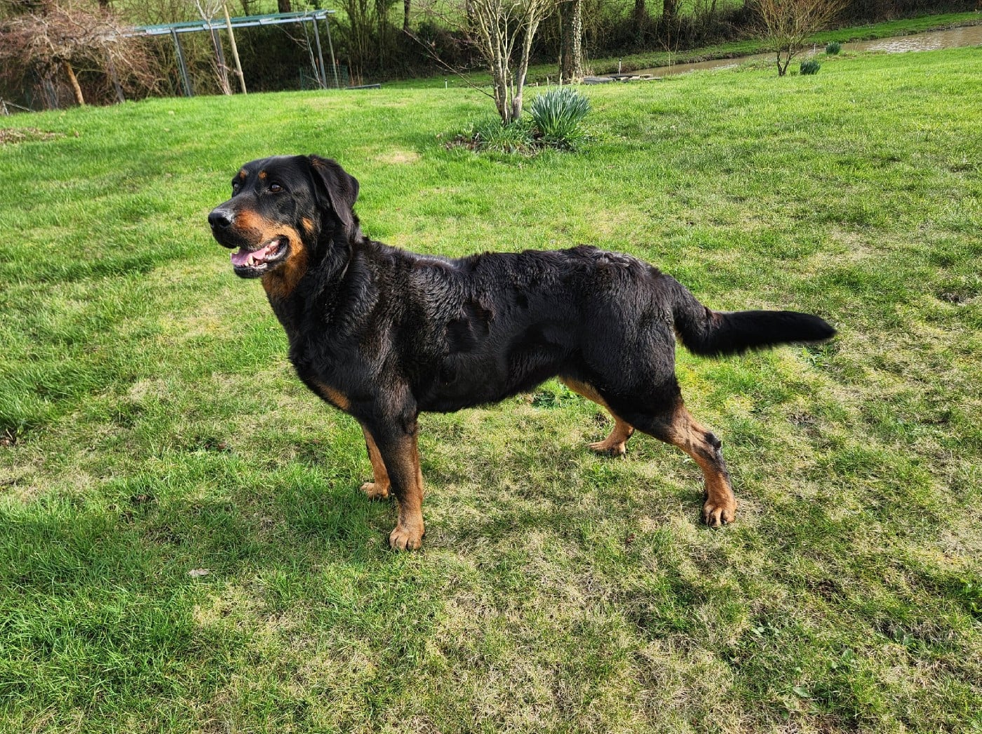 Publication : de La Cité des Comtes