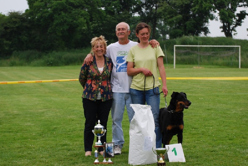 Fatale de La Cité des Comtes