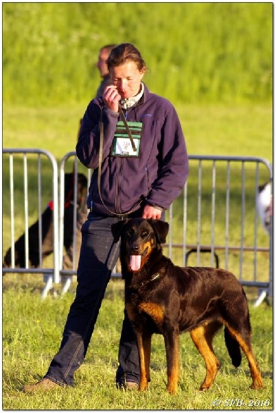 Publication : de La Cité des Comtes Auteur : Celine Parcelier