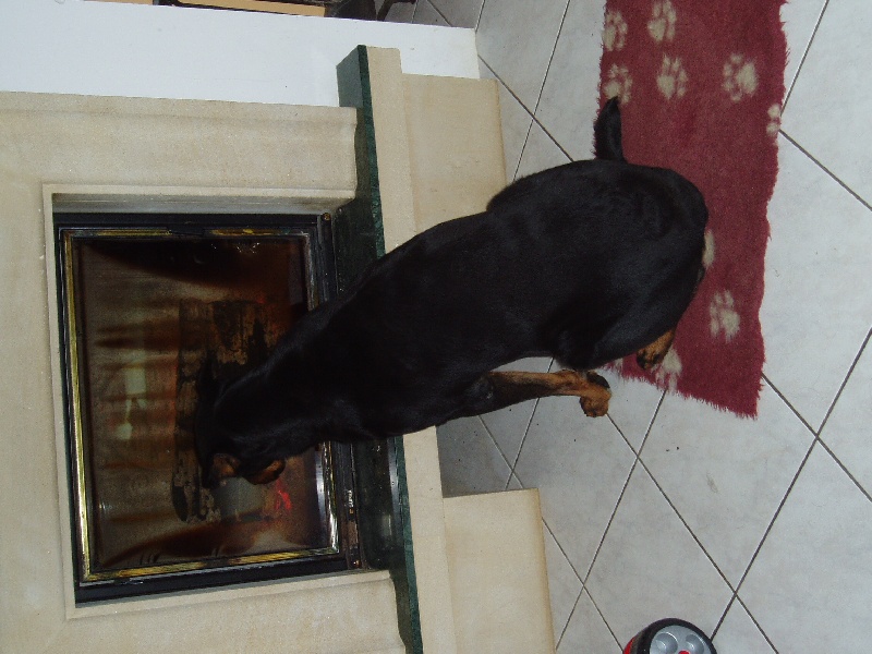 Salem de La Cité des Comtes