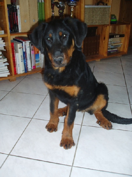 Publication : de La Cité des Comtes Auteur : Celine Parcelier