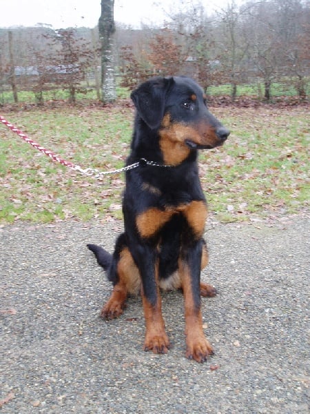 Publication : de La Cité des Comtes Auteur : Celine Parcelier