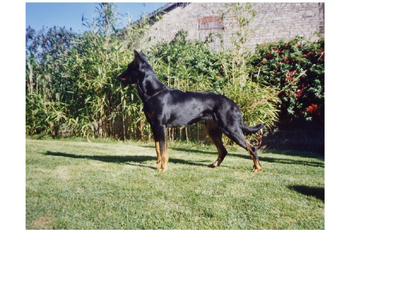 Rhodes de la Sylve Enchantee