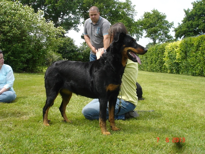 Fatale de La Cité des Comtes