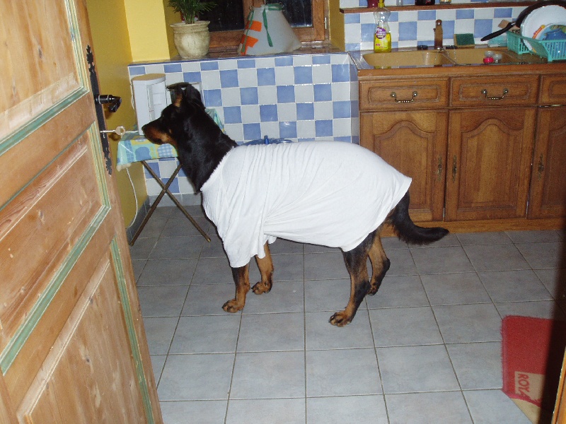 Salem de La Cité des Comtes