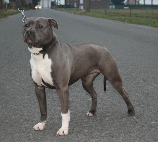 Publication : Fanatic staff