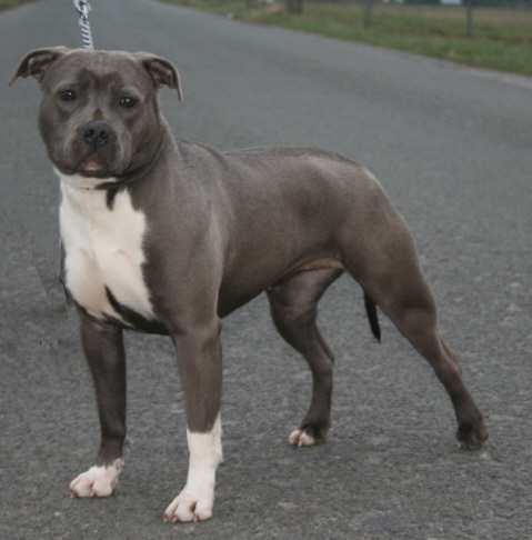 Publication : Fanatic staff