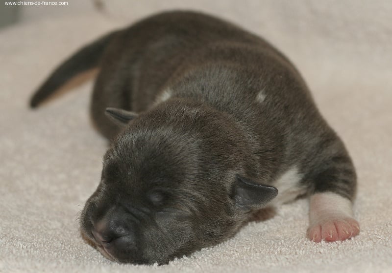 Publication : Fanatic staff