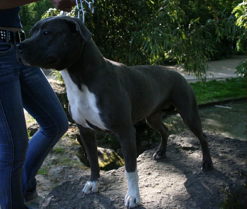 Publication : Fanatic staff