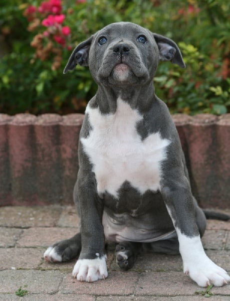 Publication : Fanatic staff