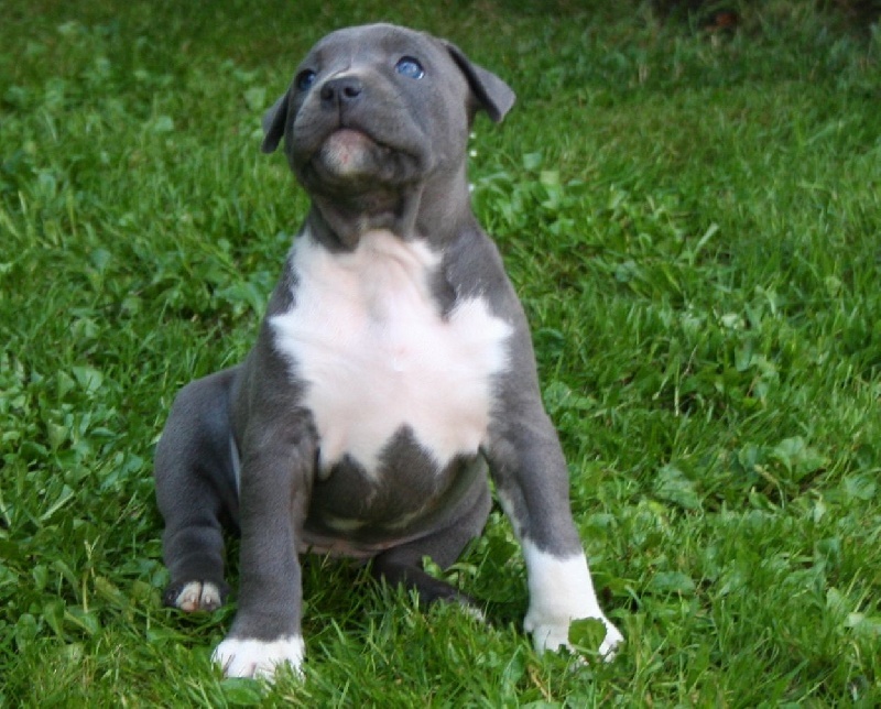 Publication : Fanatic staff