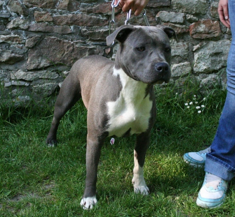 Publication : Fanatic staff