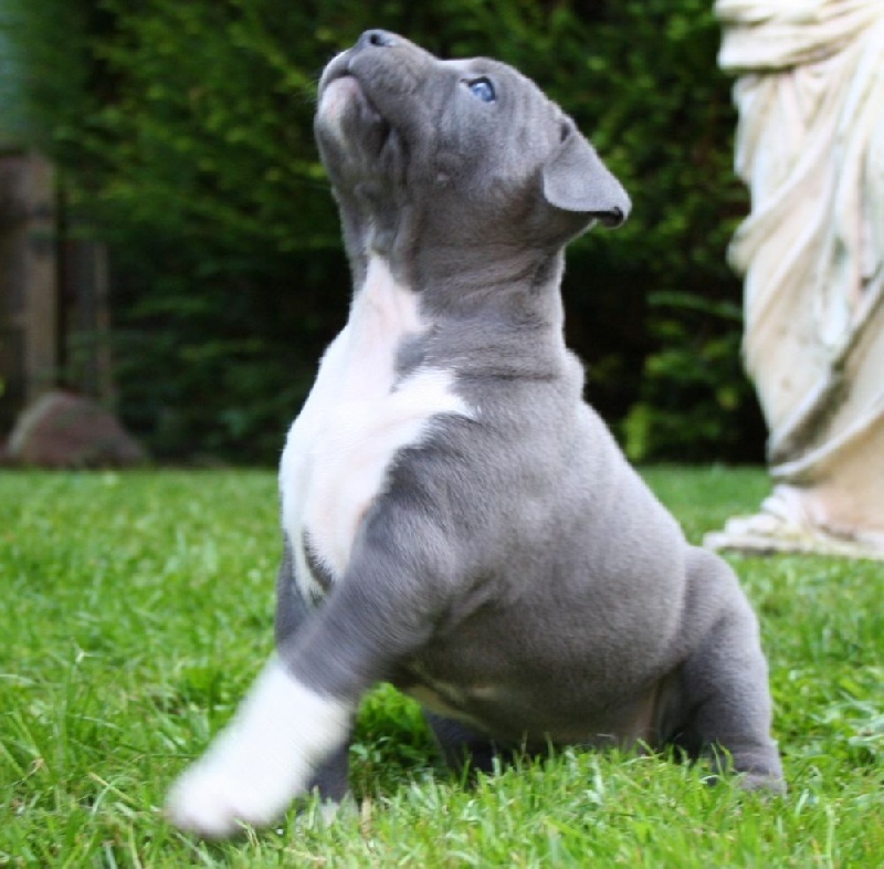 Publication : Fanatic staff