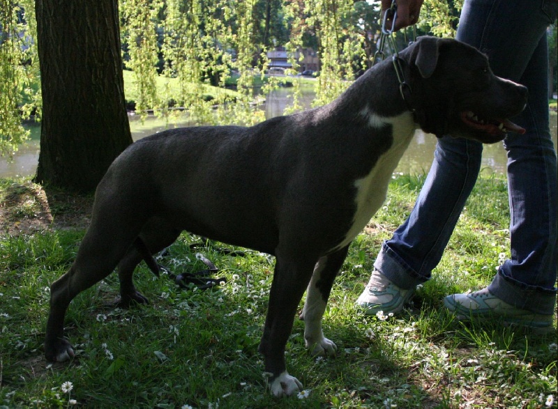 Publication : Fanatic staff