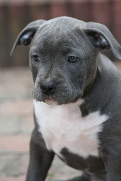 Publication : Fanatic staff