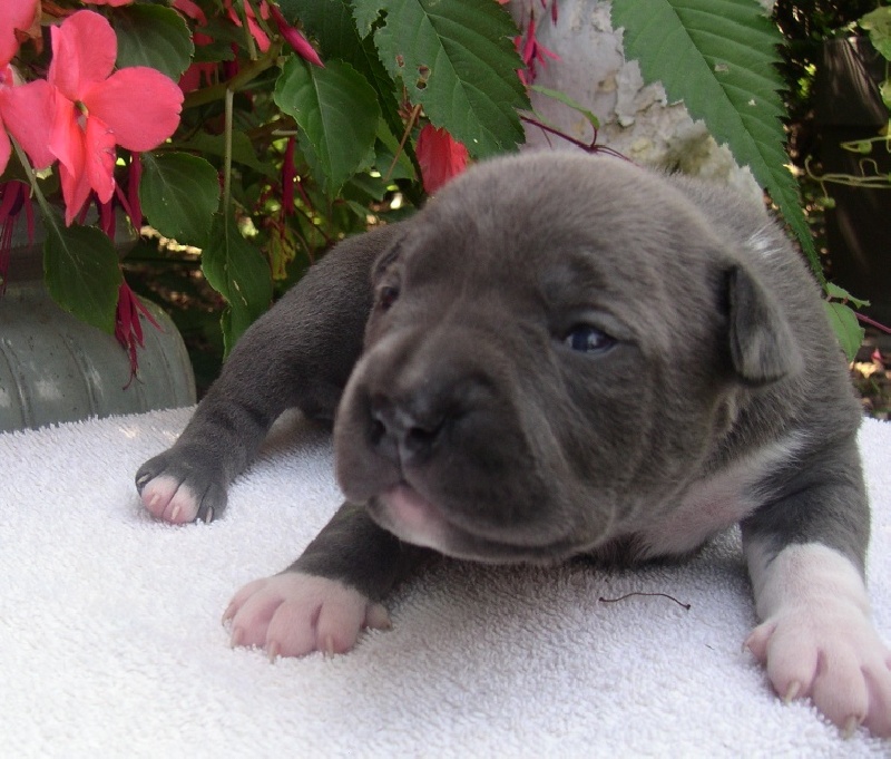 Publication : Fanatic staff