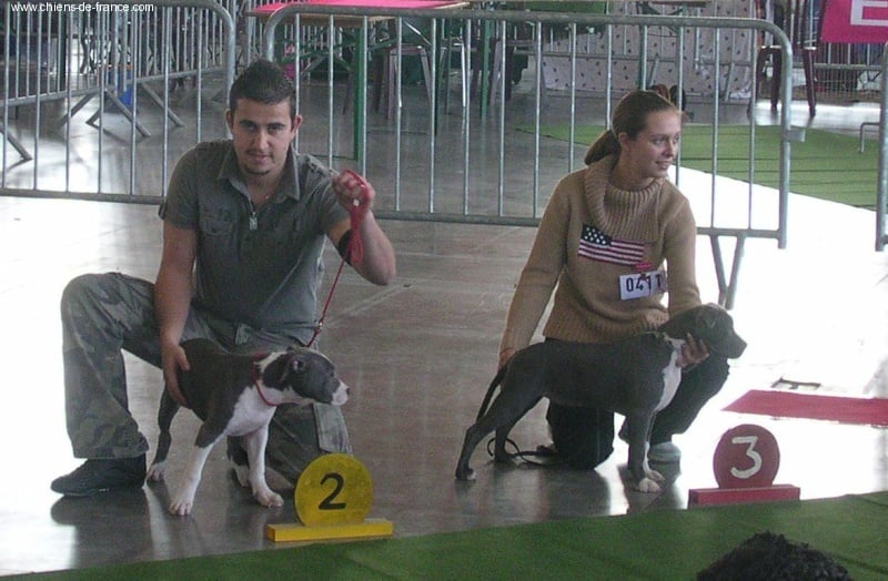 Gelly Fanatic staff - 3éme Trés prometteur