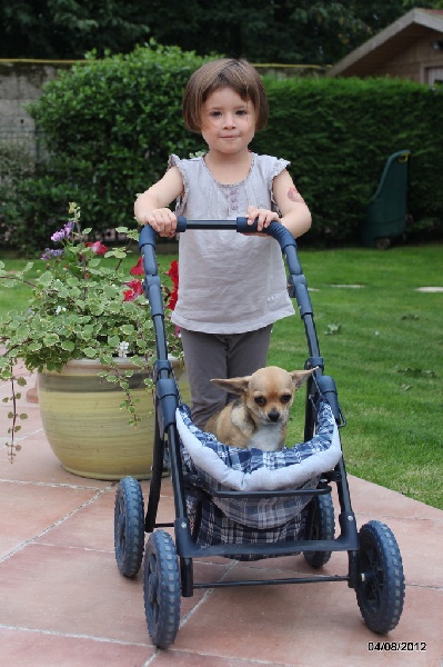 Publication : des aubépines de la Vilco Auteur : A.AVISSE