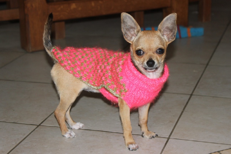 Publication : des aubépines de la Vilco Auteur : A.AVISSE