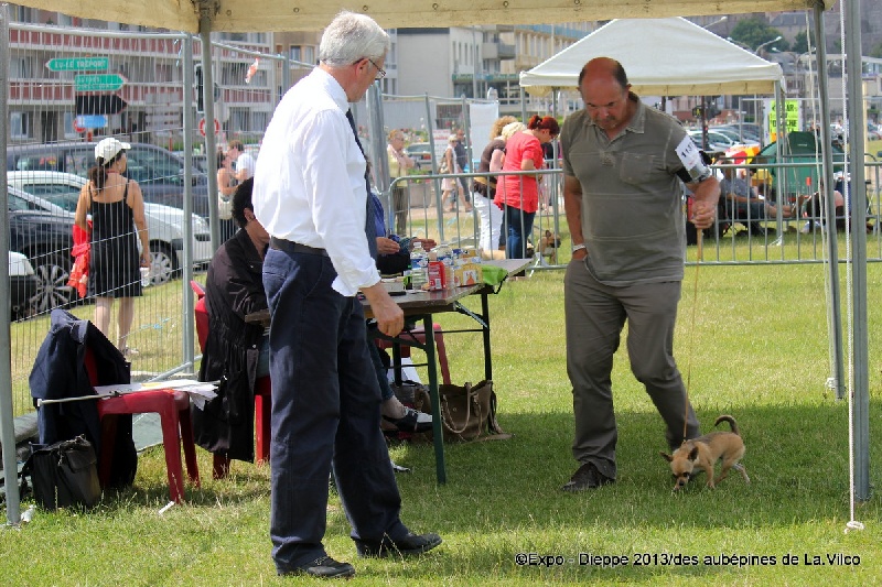 Publication : des aubépines de la Vilco Auteur : A.AVISSE