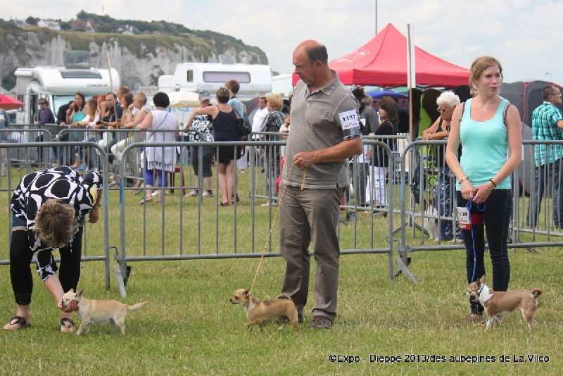 Publication : des aubépines de la Vilco Auteur : A.AVISSE