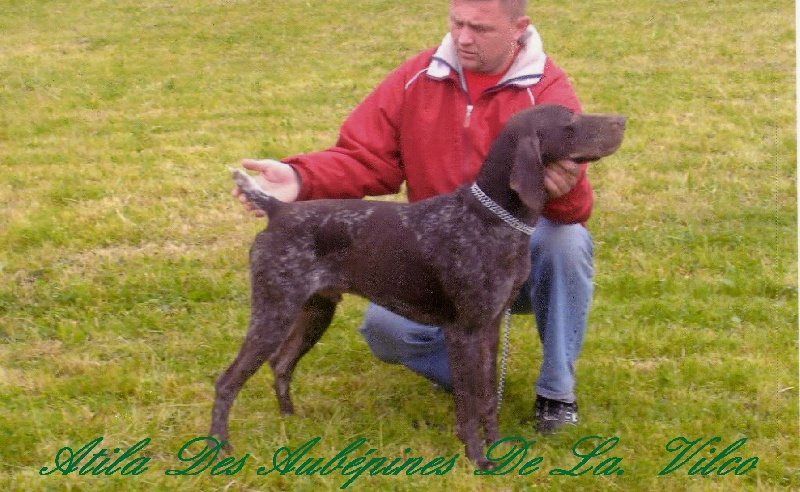 Publication : des aubépines de la Vilco Auteur : Aline AVISSE