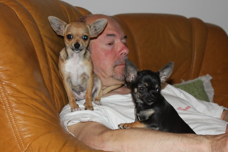 Publication : des aubépines de la Vilco Auteur : A.AVISSE