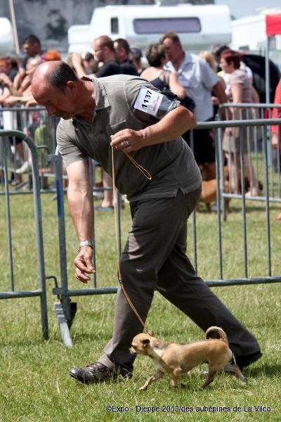 Publication : des aubépines de la Vilco Auteur : A.AVISSE