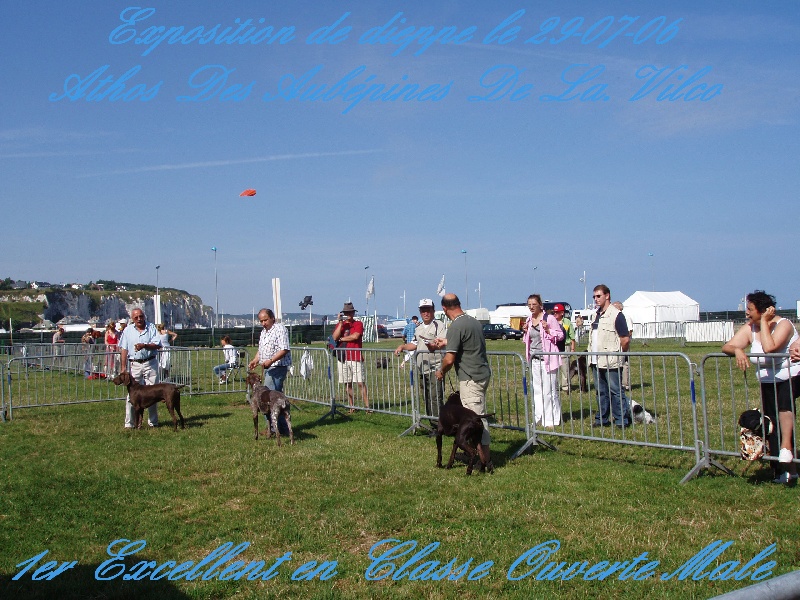 Publication : des aubépines de la Vilco Auteur : Aline AVISSE