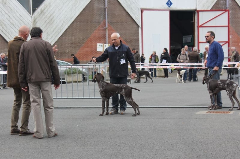 Publication : des aubépines de la Vilco Auteur : CFBA