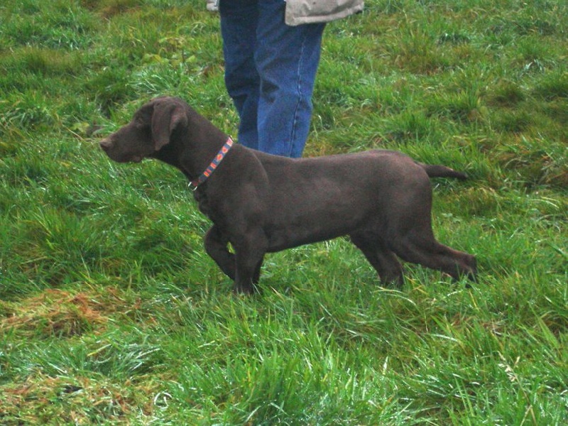 Publication : des aubépines de la Vilco Auteur : Aline AVISSE